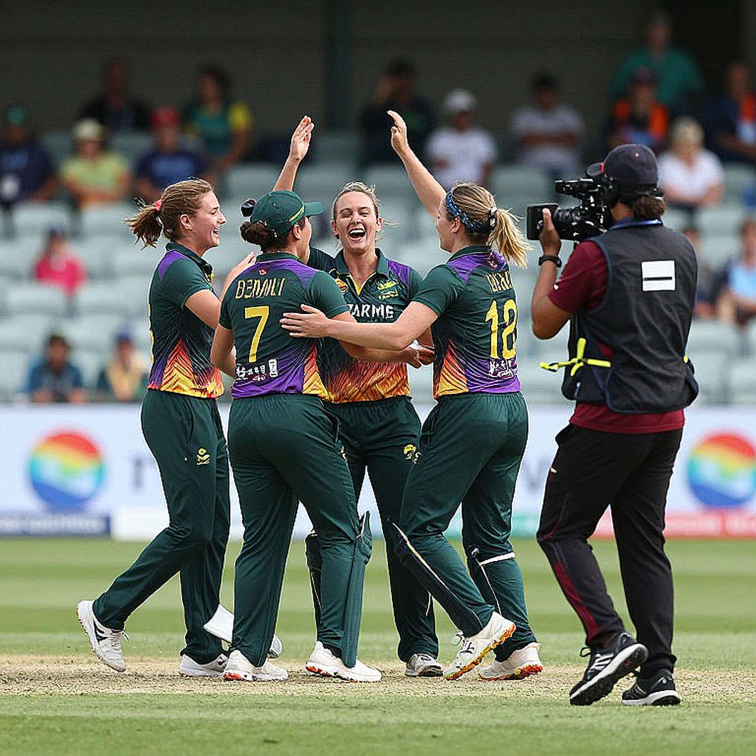Zero Information Points: The Empty Cricket Data File That Told the Truth